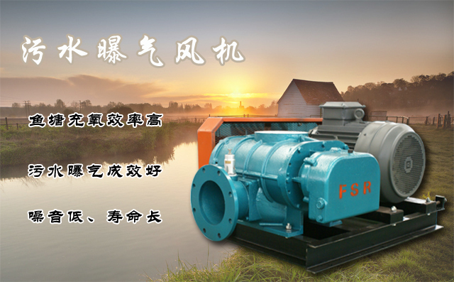 章丘豐源機(jī)械有限公司生產(chǎn)的三葉羅茨鼓風(fēng)機(jī)產(chǎn)品展示