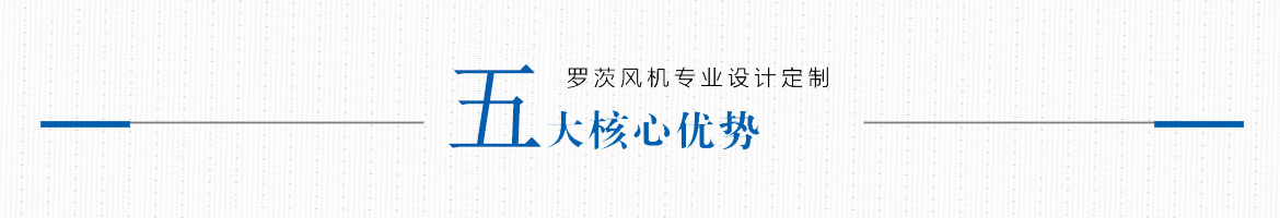 羅茨風(fēng)機(jī)專(zhuān)業(yè)設(shè)計(jì)定制，五大核心優(yōu)勢(shì)
