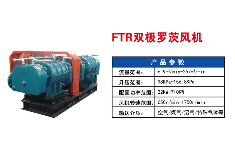 雙極羅茨鼓風(fēng)機主要技術(shù)參數(shù)